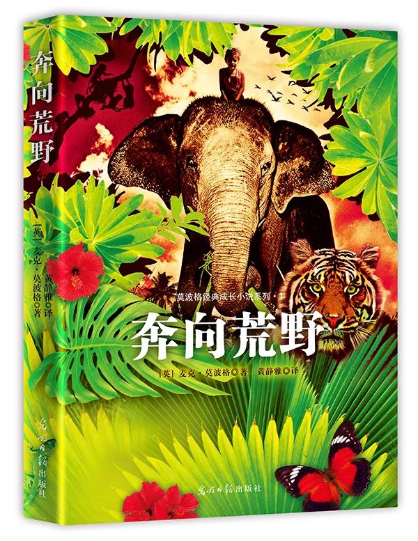 书单 适合小学生亚新体育阅读的20本动物小说(图3)
