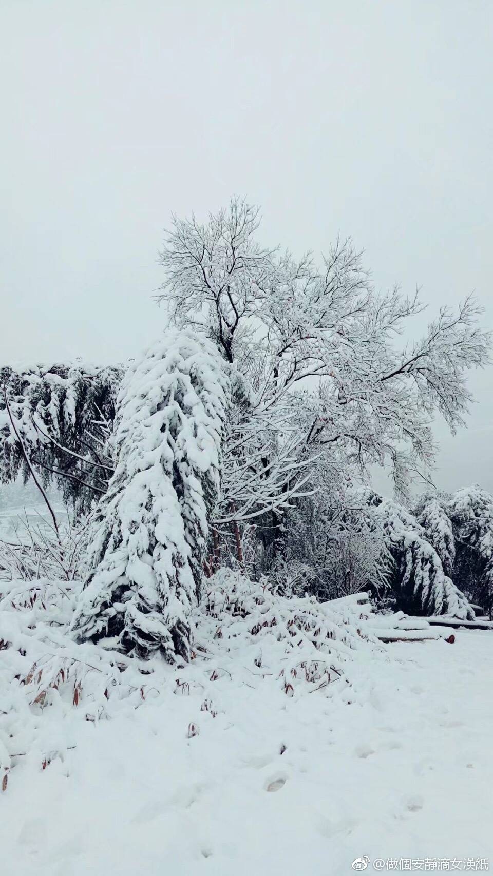 重庆金佛山雪景