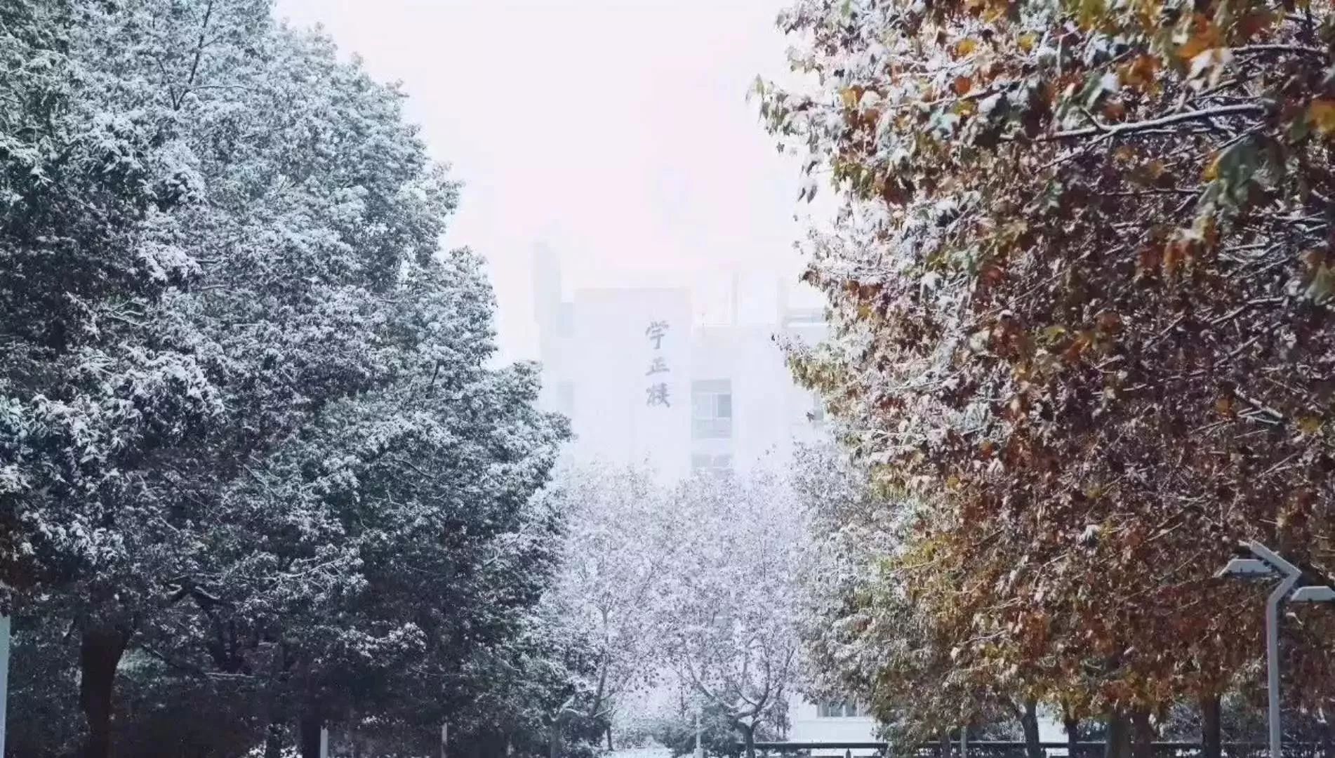 北风吹雪小寒至,金陵雪景哪家强?