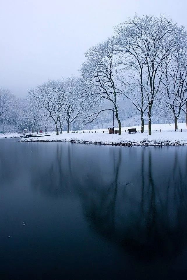 寿阳曲61江天暮雪马致远天将暮,雪乱舞,半梅花半飘柳絮.