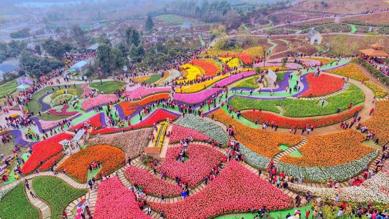 (新都 漫花庄园)