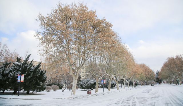 微言夜读丨大学校园高颜值雪景,惊艳了这个冬天!