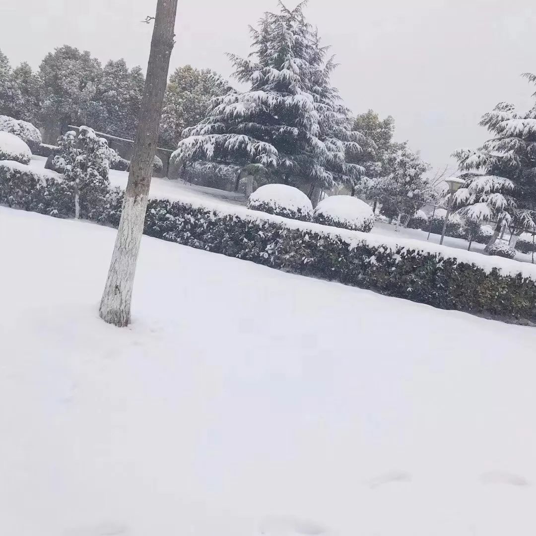 刚刚常熟下雪了!2018年的第一场雪已刷爆朋友圈