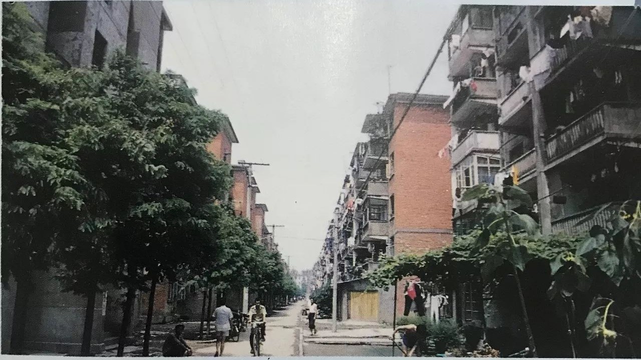 历史文献津市市1989年前城乡建设一