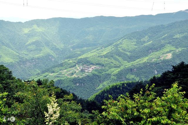 磐安中药材基地又添殊荣