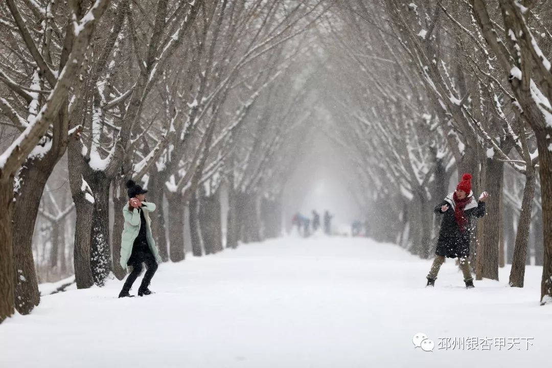 当天气预报里的图标从云朵变成雪花,我们终于在昏黄的路灯下,看到了雪