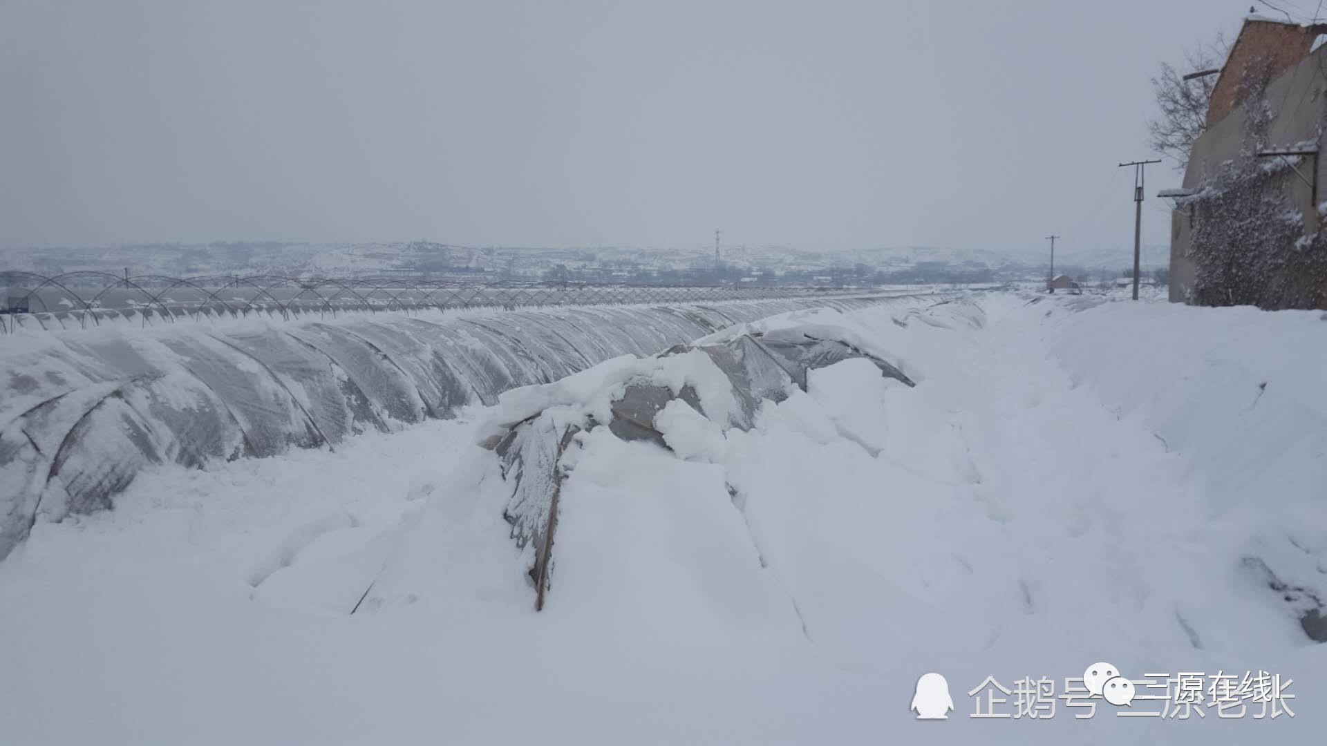 暴雪压塌大棚,菜农损失惨重