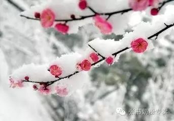 冬日雪天温馨小贴士 | 2018年初雪来到,天气骤冷,你一定要照顾好自己