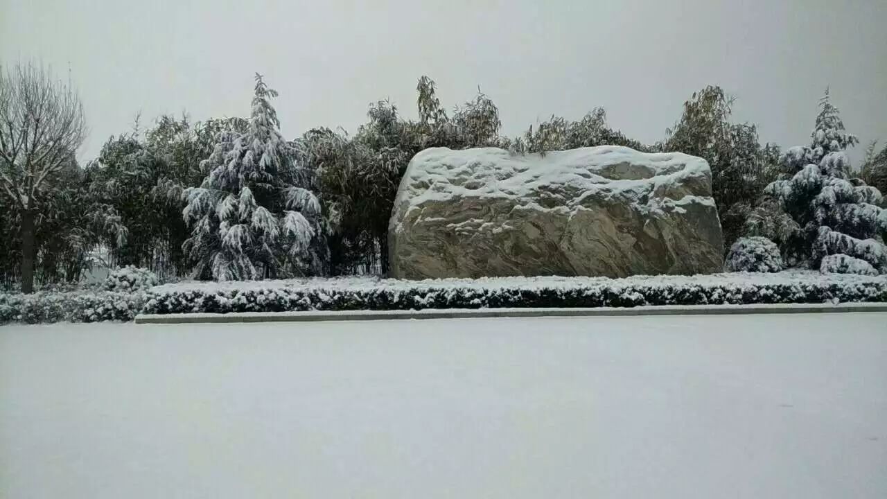 洪洞汾河公园雪景;航拍广胜寺飞鸿塔雪后全景图