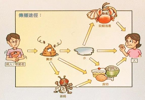 科普| 火锅季来了,小心甲型肝炎