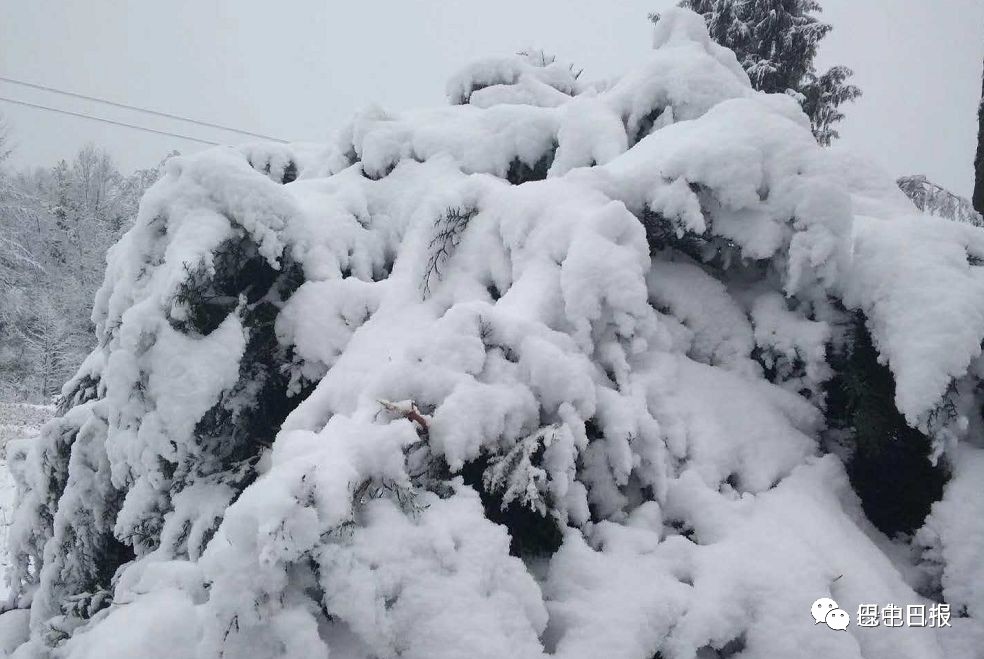 刚刚巴中的这组雪景图登上人民日报app美呆全国人民