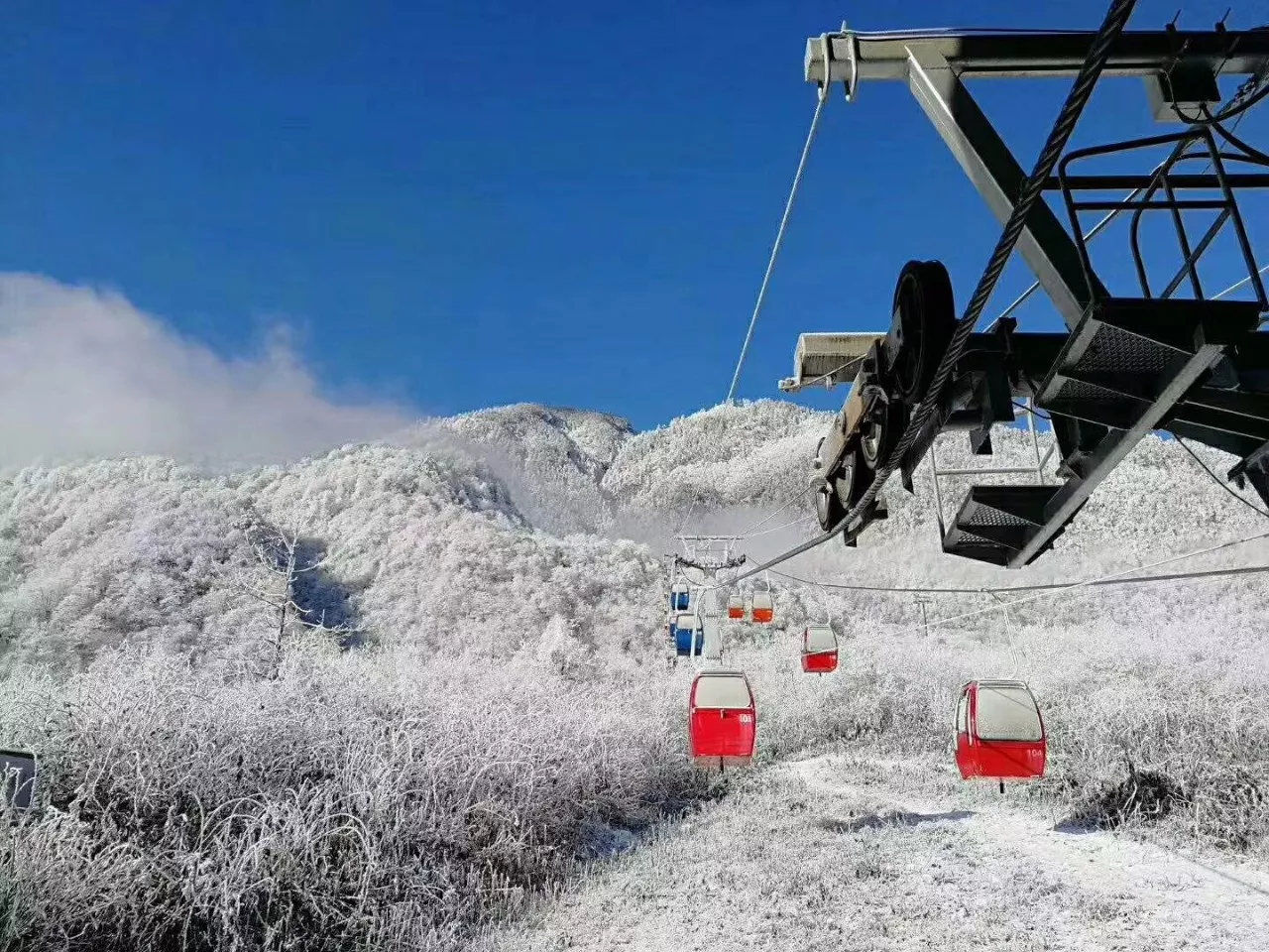 西岭雪山就被浓雾包裹 随后纷纷扬扬的大雪下了一天 从滑雪场到海拔