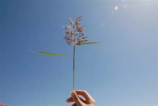 夏小虎旧时光简谱_你好旧时光图片