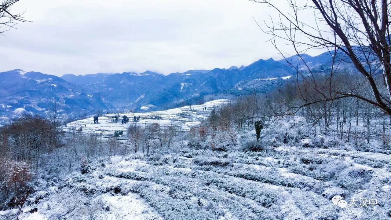 汉中这场雪惊艳了