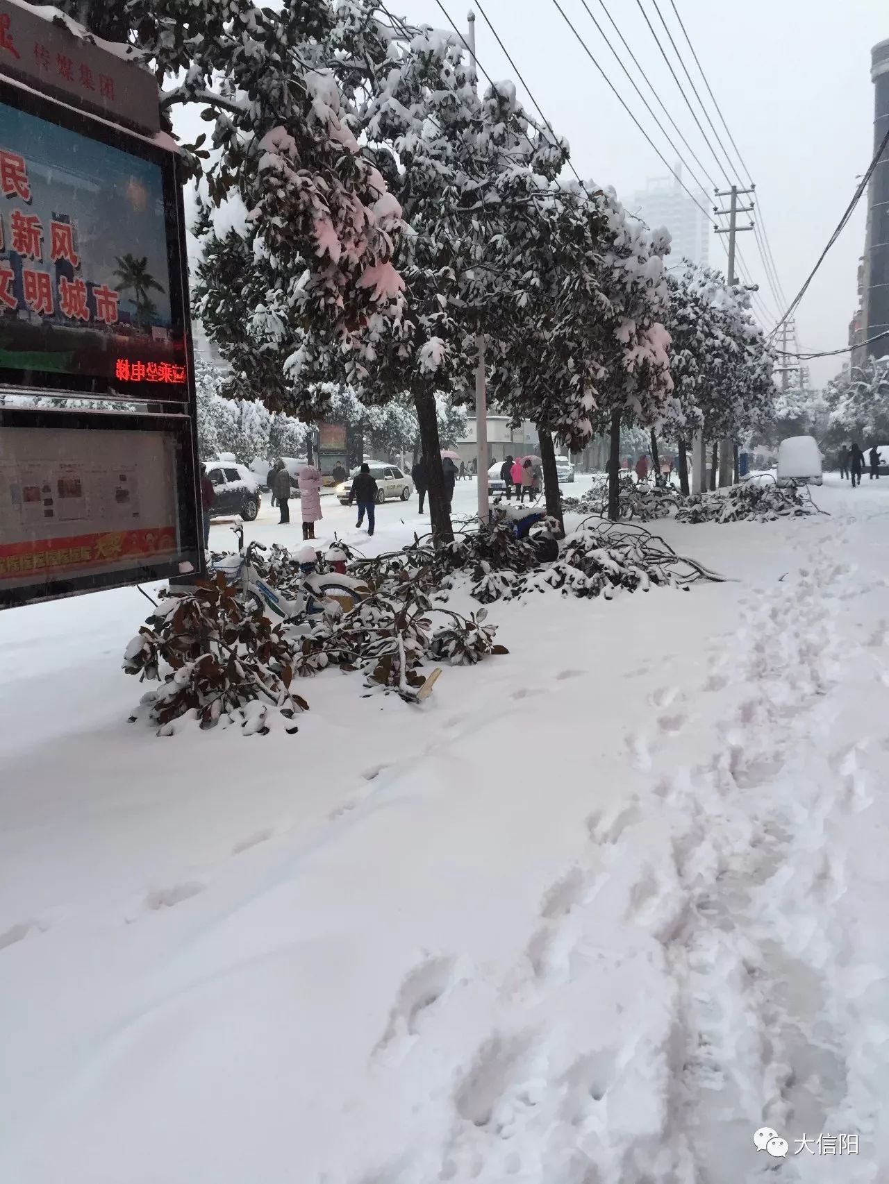 暴雪下的信阳停课停运封路一场大雪全城瘫痪