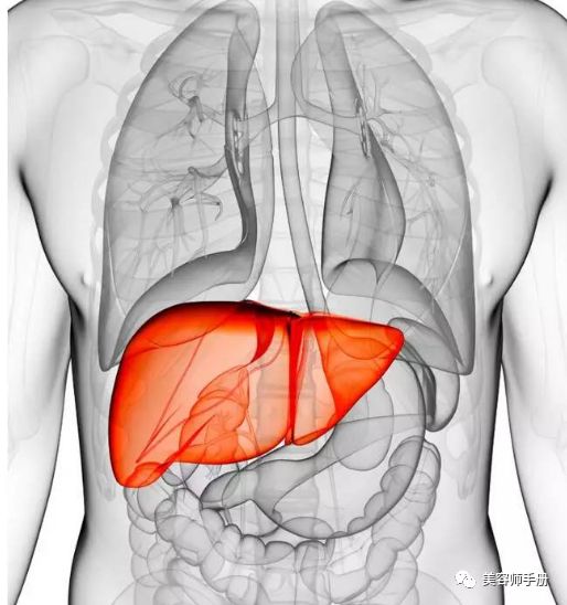 女性养肝护肝自测：肝是身体的“油箱”，这些信号提醒你，再不养肝就晚了！