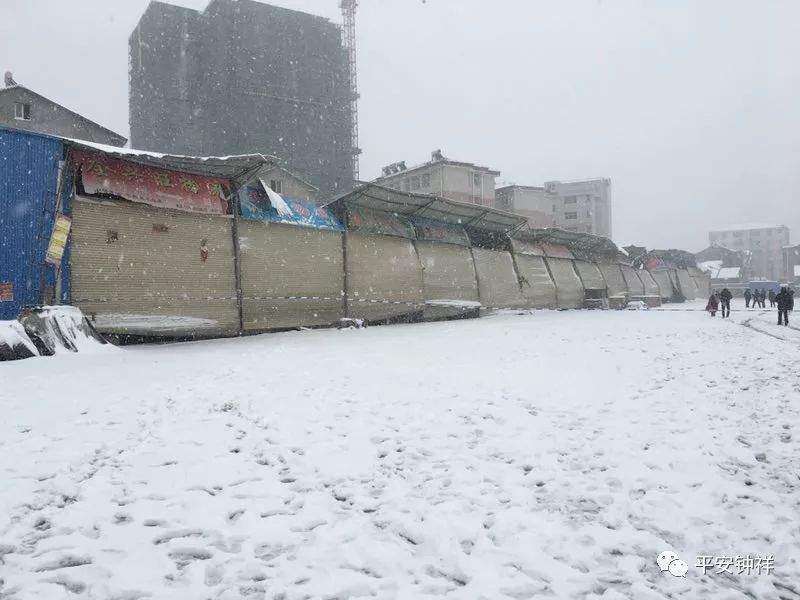 【本地】钟祥城区一场与时间赛跑半岛app的紧急救援！