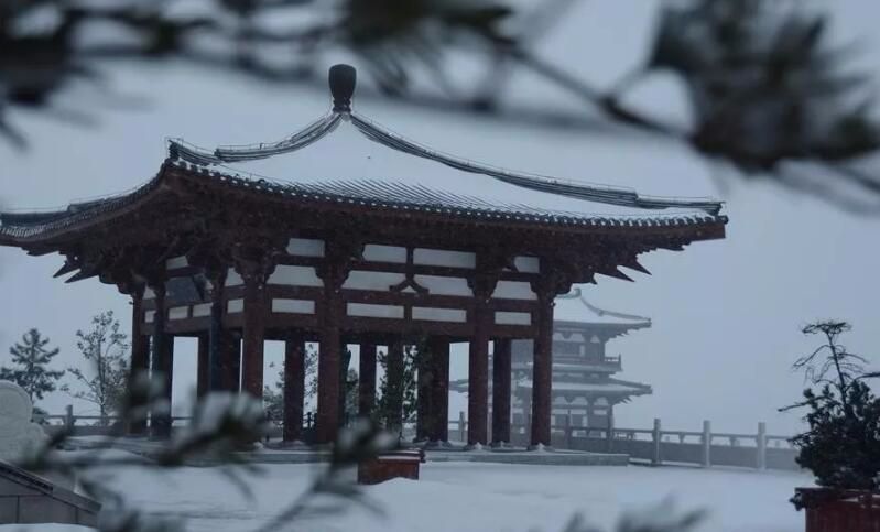 旅游 正文 2018年初雪"不知庭霰今朝落,疑是林花昨夜开.