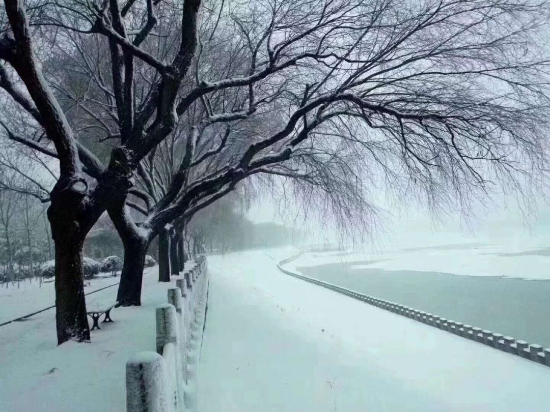 全国各地下雪刷爆朋友圈!降雨 台风 冷空气组团来袭