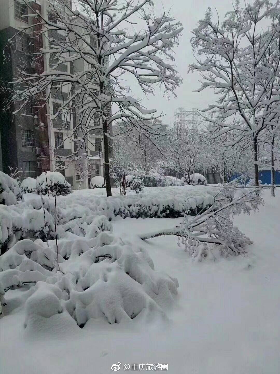 百年一见的重庆居然下雪了