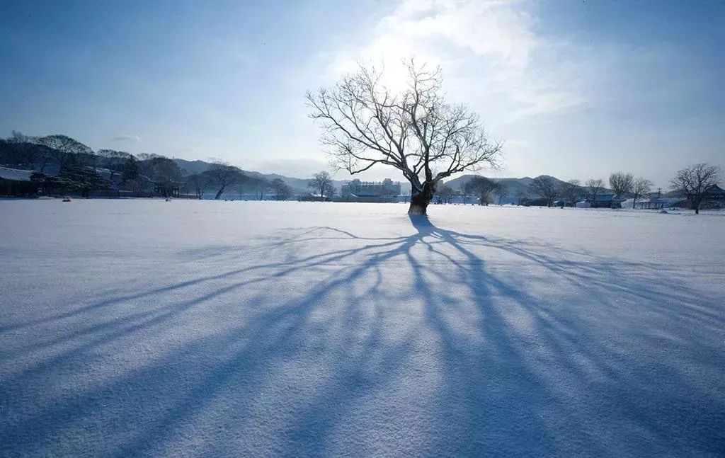 如何用手机拍雪景?朋友圈晒雪大赛指南出炉!