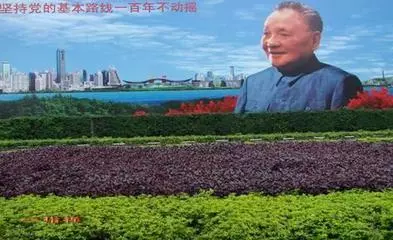 1979年以后,我国逐步走上了改革开放和建设社会主义经济的道路,钢铁