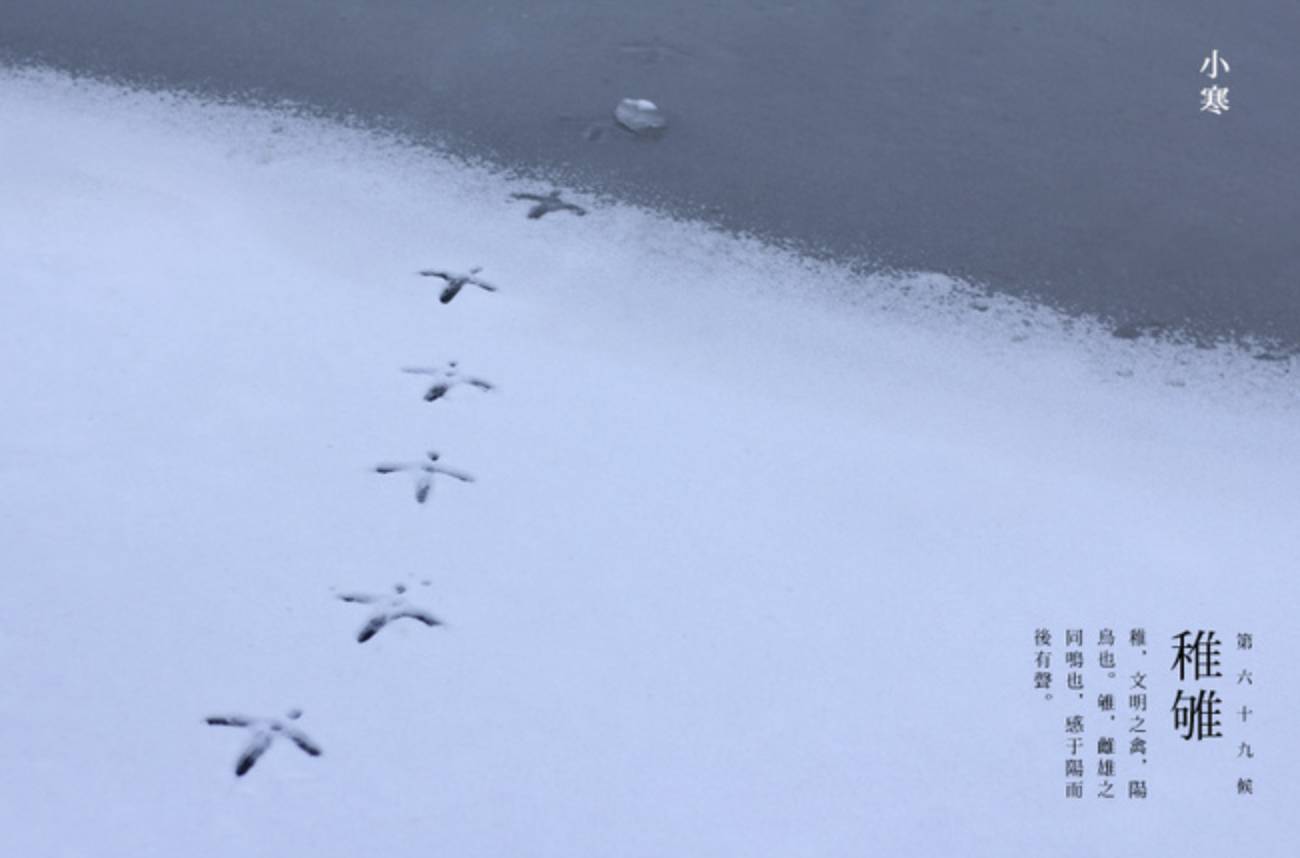 今日小寒丨天寒飘雪,唯愿君安