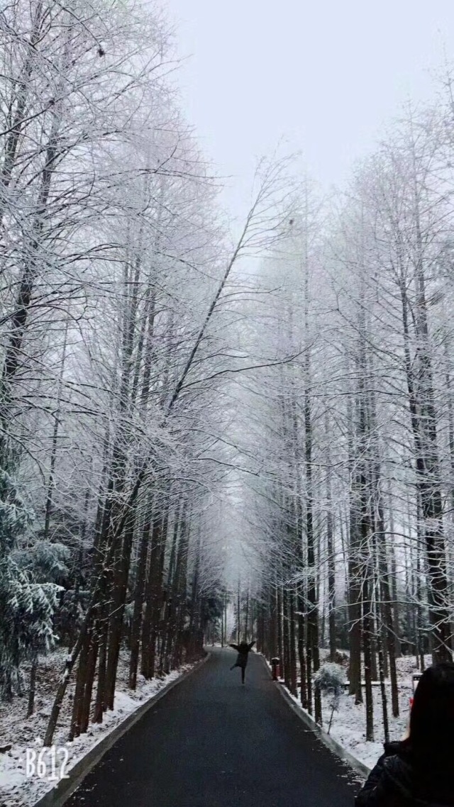 刷爆朋友圈的广元雪景照,每一张都可以当屏保!