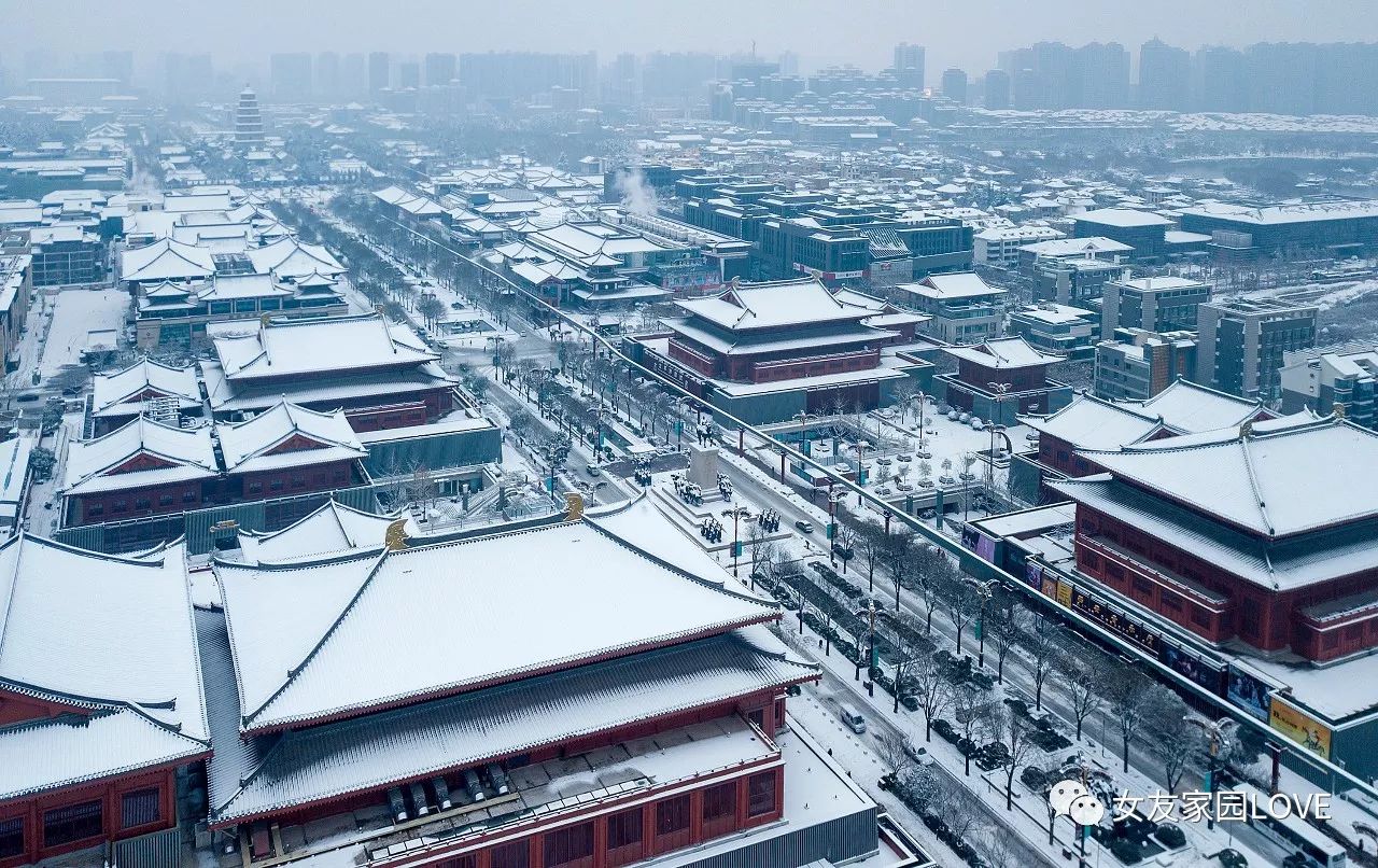 《妖猫传》中缺少的"雪中长安,摄影师都还给你!