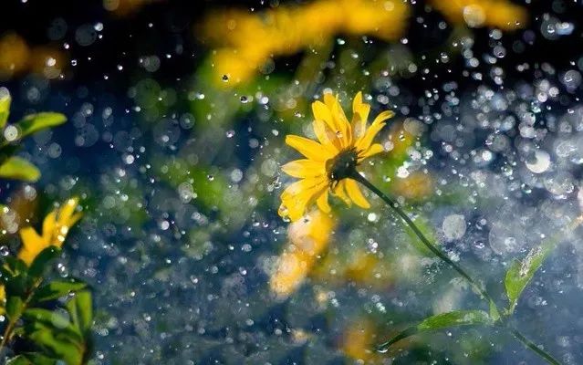 笛子《相思风雨中》,勾起了多少回忆!