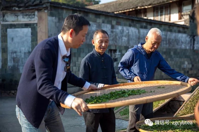 参与《百心百匠》拍摄:福鼎白茶制茶大师吴健的"触电"