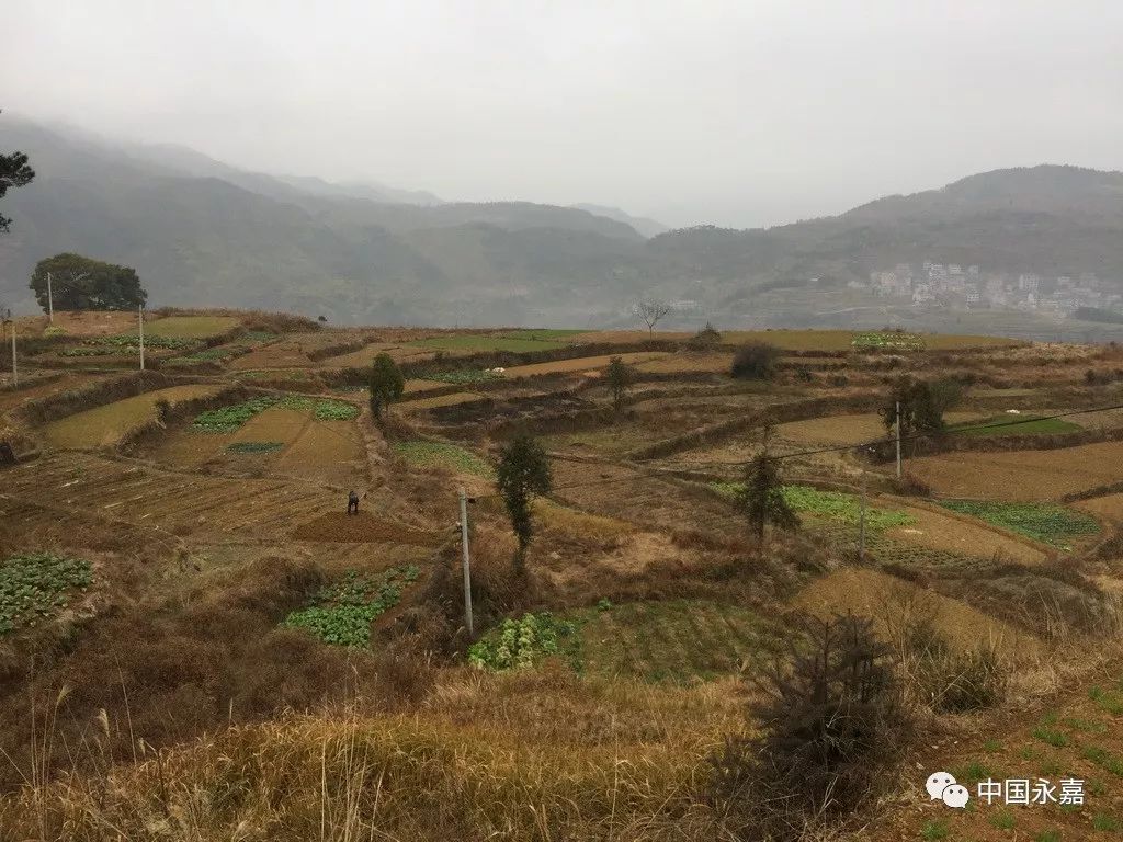 永嘉常住人口_永嘉麦饼图片(2)