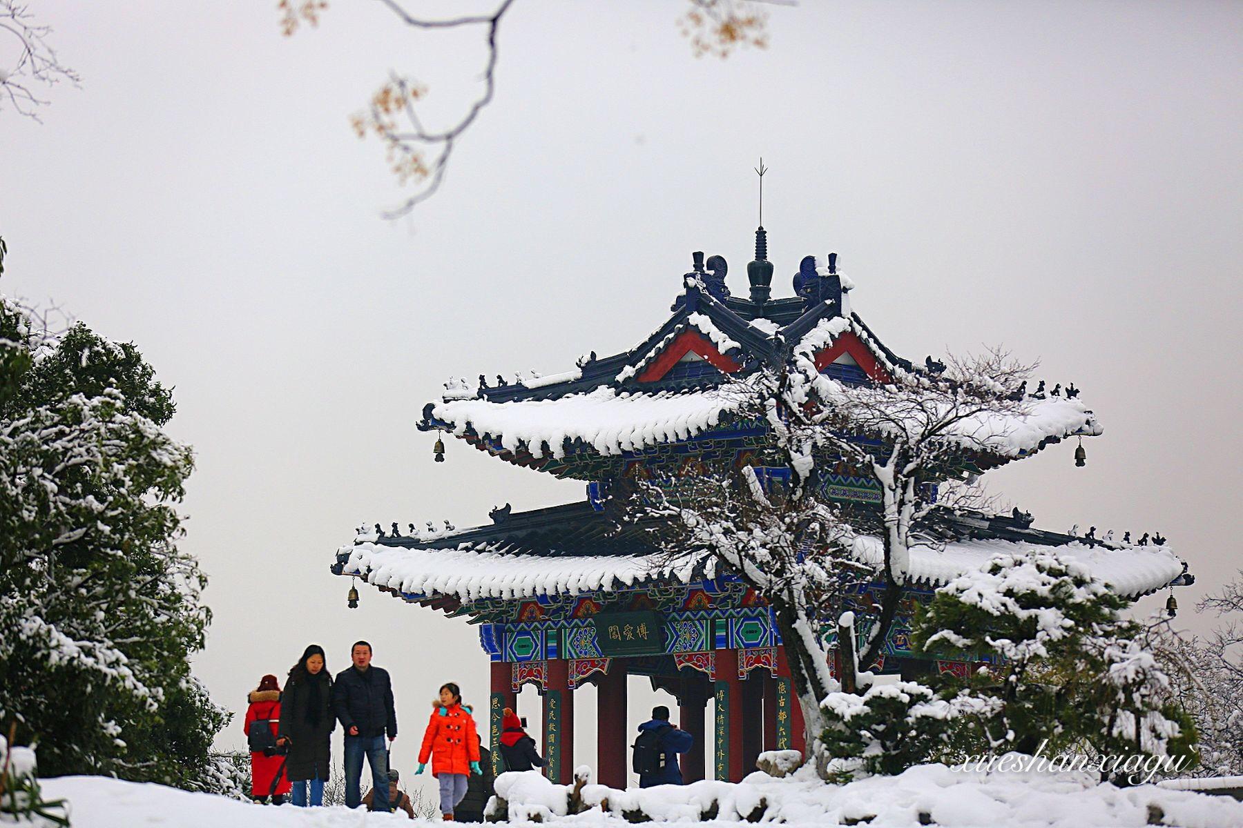 南京雪景不输东北雪乡,关键不坑人,无高价门票