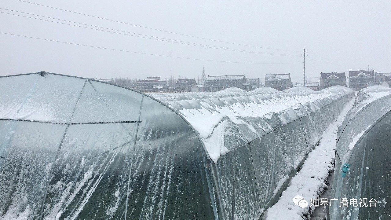 工人除雪时,大棚又突然倒塌.