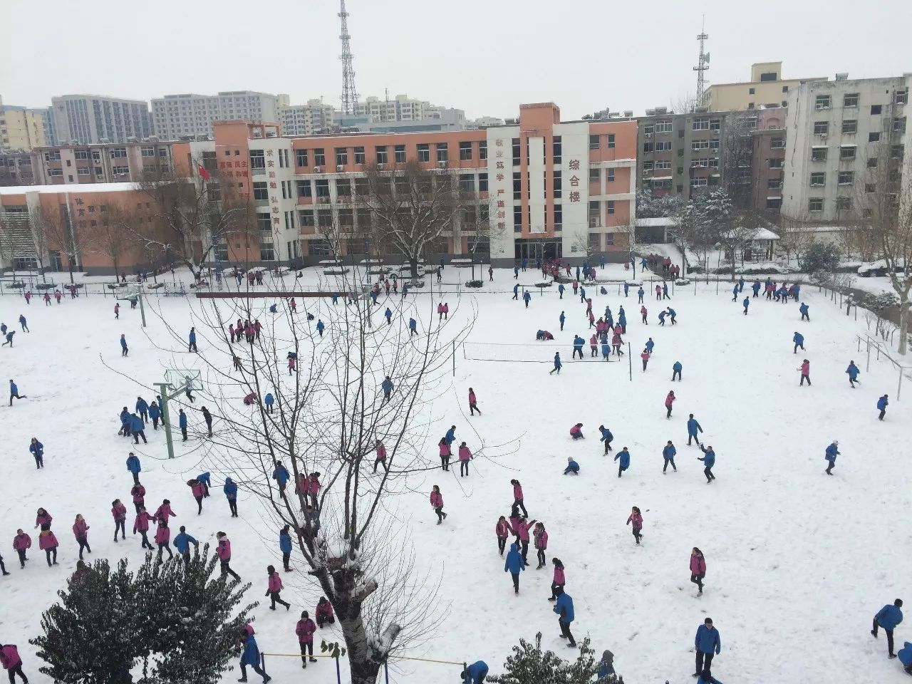 西飞二中教师齐心除雪 情暖校园