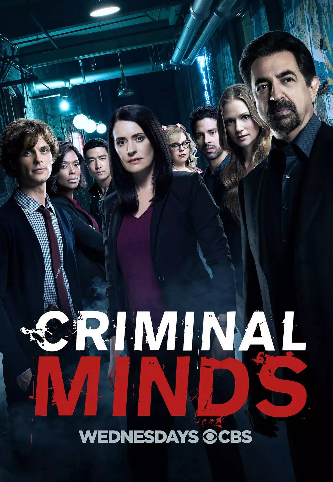 犯罪心理 第十三季 criminal minds season 13 (2017)