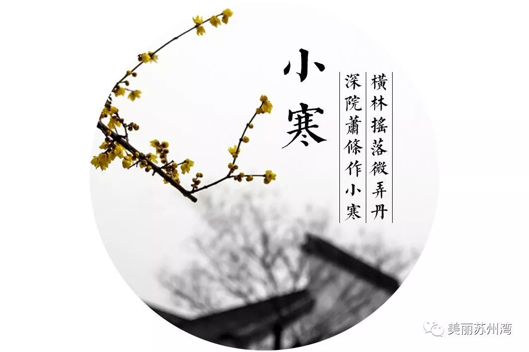 节气| 又是一年小寒日,等雪的日子不如一起来读读诗