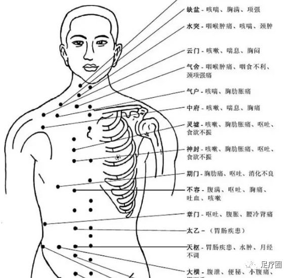 人体穴位图及穴位功能主治