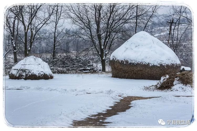 同样是下雪,宁县的乡村雪景咋就这么美!