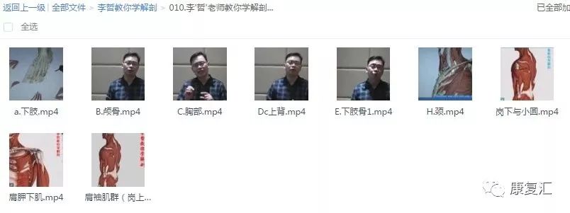 李哲教你学解剖 830g视频/电子书/ppt 人体结构功能瑜伽私教健身孕妇