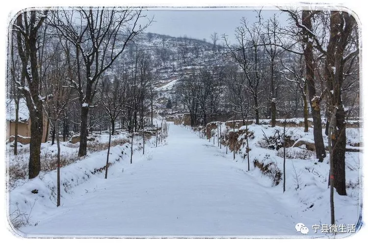 同样是下雪,宁县的乡村雪景咋就这么美!