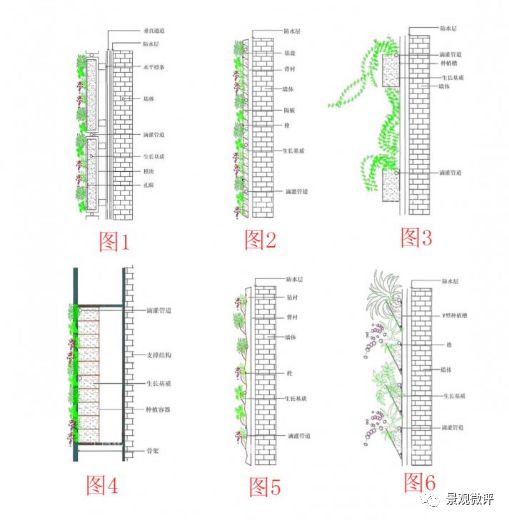 立体绿化的分类与营造方式