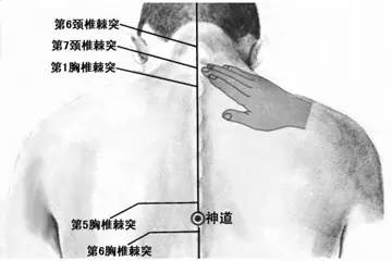 取穴方法〗人体神道穴位于背部,当后正中线上,第5胸椎棘突下凹陷中.