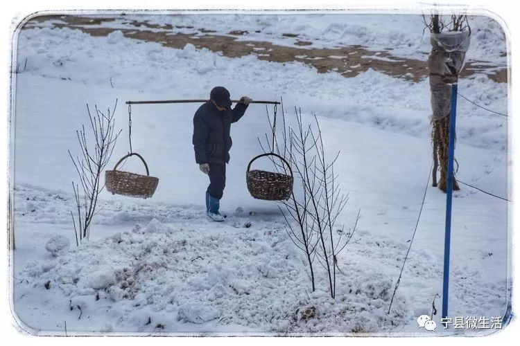 同样是下雪,宁县的乡村雪景咋就这么美!