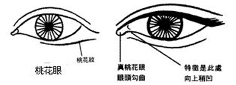 面相学中有"桃花眼"之说,桃花眼,俗称"风流眼".