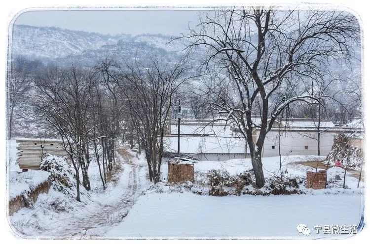 同样是下雪,宁县的乡村雪景咋就这么美!