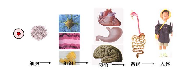 航電中和與小粒徑負離子 科技 第29張