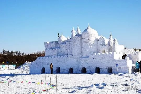 霸王河冰雪嘉年华是集宁首家大规模滑雪游乐场,冰雪乐园包含了雪雕