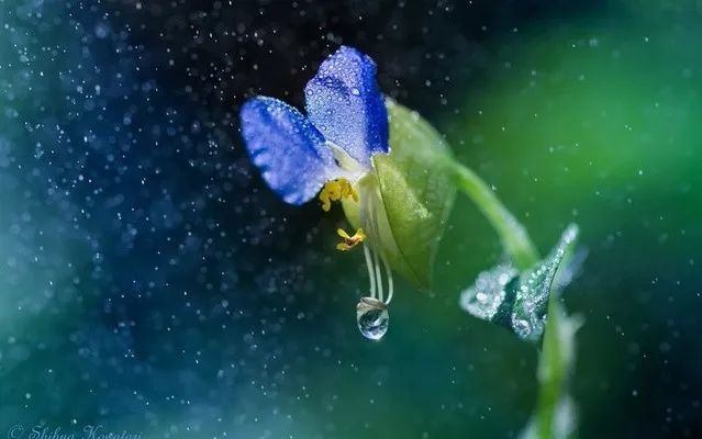 笛子《相思风雨中》,勾起了多少回忆!