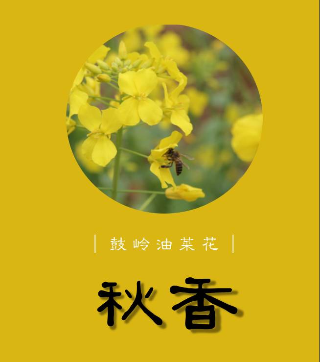 山观招聘_6500 元 月 享受法定假日 周末双休,这样的工作你还不来(4)